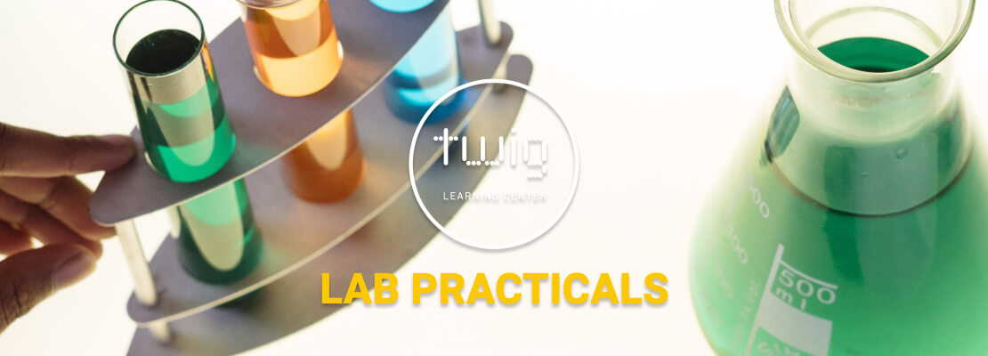 TWIG Lab Practicals