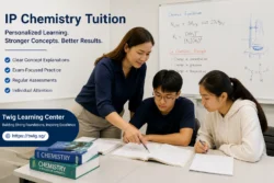 How IP Chemistry Tuition Helps Students Overcome Study Struggles