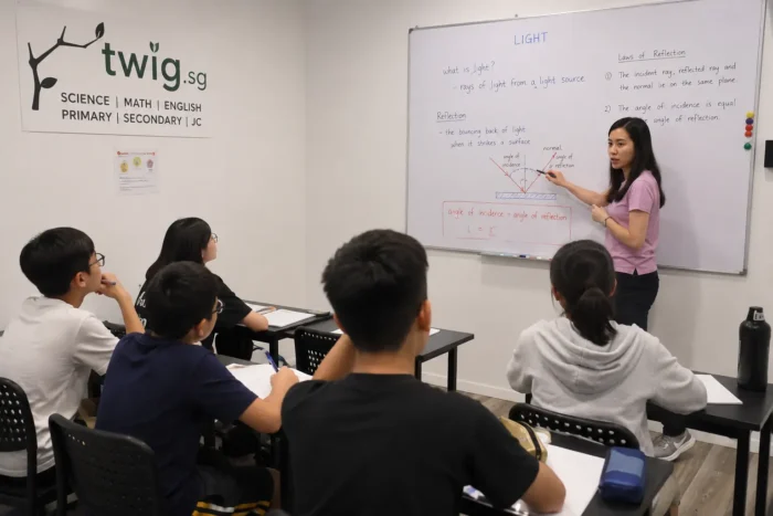 Is Lower Secondary Science Tuition in Singapore Worth It