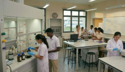 How Guided Learning Helps Students Succeed in Chemistry